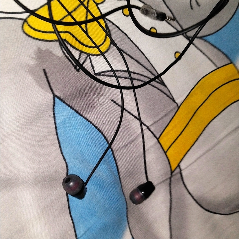 Earphone (black)
